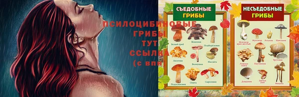 MDMA Premium VHQ Армянск