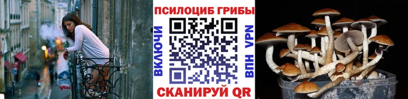 Псилоцибиновые грибы мицелий  Снежинск 